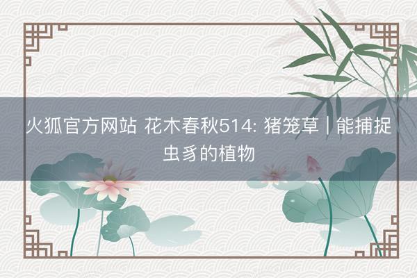 火狐官方网站 花木春秋514: 猪笼草 | 能捕捉虫豸的植物