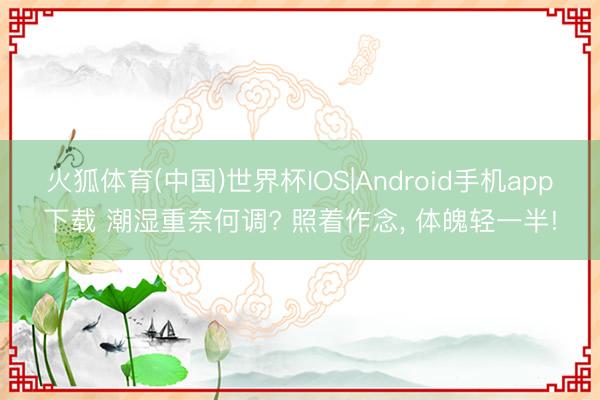 火狐体育(中国)世界杯IOS|Android手机app下载 潮湿重奈何调? 照着作念， 体魄轻一半!