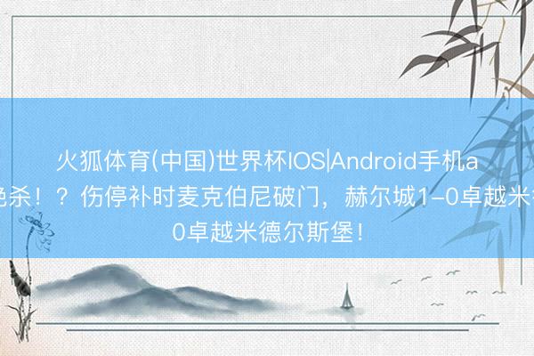 火狐体育(中国)世界杯IOS|Android手机app下载 绝杀！？伤停补时麦克伯尼破门，赫尔城1-0卓越米德尔斯堡！