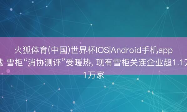 火狐体育(中国)世界杯IOS|Android手机app下载 雪柜“消协测评”受暖热， 现有雪柜关连企业超1.1万家
