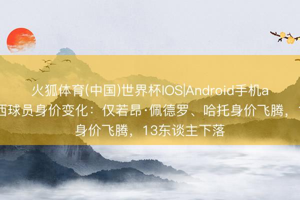 火狐体育(中国)世界杯IOS|Android手机app下载 切尔西球员身价变化：仅若昂·佩德罗、哈托身价飞腾，13东谈主下落